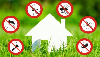 Disinfestazione 3° ciclo-adulticida