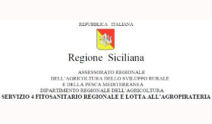 L’Aleurodide Spinoso è presente anche in Sicilia – L’Insetto Infestante degli Agrumi L’Aleurodide Spinoso è presente anche in Sicilia – L’Insetto Infestante degli Agrumi