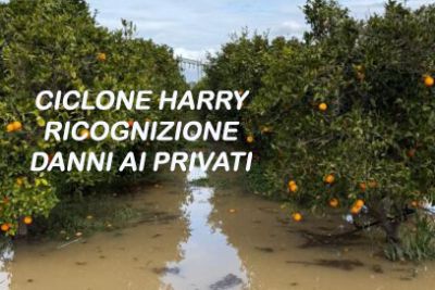 Ciclone Harry