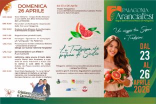 Programma 26