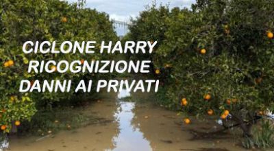 Ciclone Harry